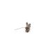 Bundel schors naturelbruin 8x3 op steker 8cm