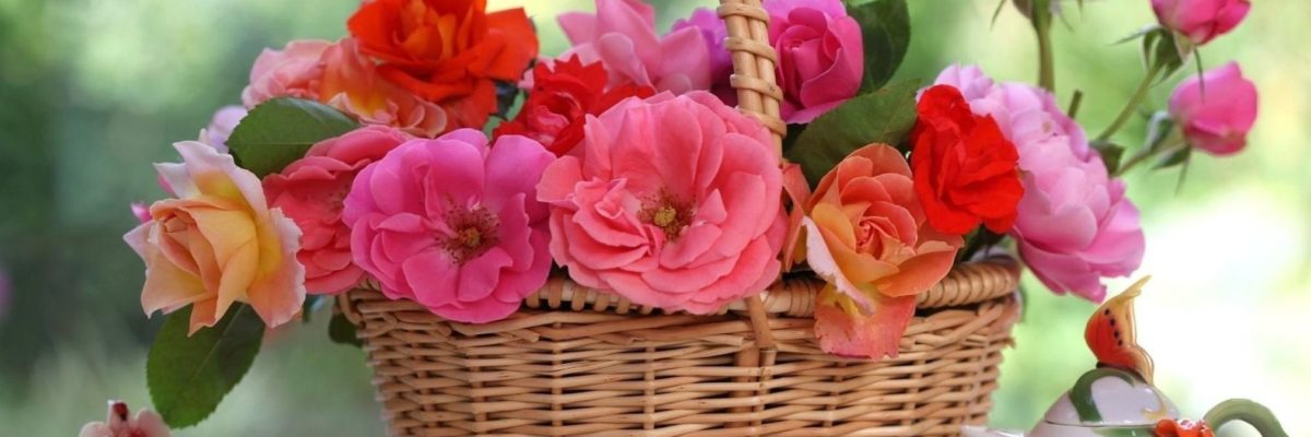 flowers in basket