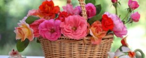 flowers in basket