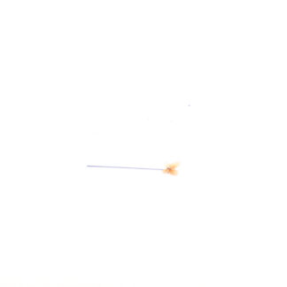 Zijden vlinder 3x2,5cm oranje op steker 12cm