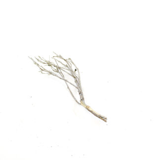 Takken naturel whitewash H25cm