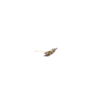 Droge boom naturel op stok 10cm